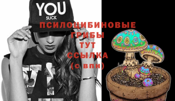 стаф Покров