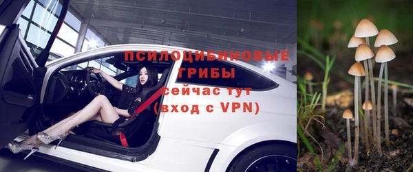 крисы Покровск