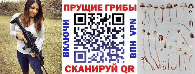 Галлюциногенные грибы мицелий Черепаново